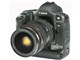 EOS-1Ds �{�f�B
