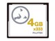 CF4GB333SS (4GB)
