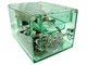 CRYSTAL CUBE OWL-PCCG-CB