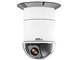 AXIS 231D+Network Dome Camera