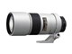 AI AF-S Nikkor 300mm f/4D IF-ED [���C�g�O���[]