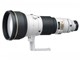 AI AF-S Nikkor ED 600mm F4D II (IF) (ライトグレー)