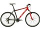 05 Backfire 50 eq top