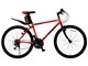 05 Cross blitzer 1.01