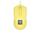 AVIOR COLOR