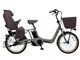 ギュット・アニーズ・EX BE-ELAE033 + 専用充電器