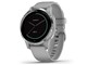 vivoactive 4S