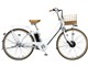 カジュナe スイートライン CS6B40 + 専用充電器