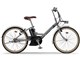 PAS CITY-V PA24CV 2020年モデル + 専用充電器