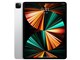 iPad Pro 12.9インチ 第5世代 Wi-Fi+Cellular 128GB 2021年春モデル SIMフリー