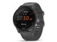 Forerunner 255