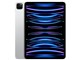 iPad Pro 11C` 4 Wi-Fi+Cellular 512GB 2022NHf SIMt[̐i摜