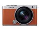 LUMIX DC-S9N 広角ズームレンズキット