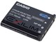 NP-80 (CASIO)
