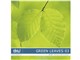 �ʐ^�f�� DAJ digital images 147 GREEN LEAVES 03 [�t���b�V���ȐV�΃C���[�W 03]