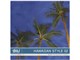 �ʐ^�f�� DAJ digital images 213 HAWAIIAN STYLE 02 [�n���C�A���X�^�C�� 02]
