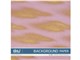 �ʐ^�f�� DAJ digital images 266 BACKGROUND PAPER [�o�b�N�O���E���h ��]