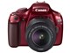 EOS Kiss X50 _uY[Lbg [bh]