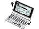 Papyrus PW-AM500