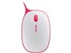 Express mouse T2J-00006 [nCrXJXbh]