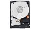 WD2503ABYX [250GB SATA300 7200]