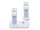 DECT3280-2(W) [�z���C�g]