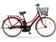 PAS Ami PM26A 2013�N���f�� [���b�`���b�h] + ��p�[�d��