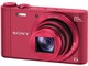TCo[Vbg DSC-WX300 (R) [bh]