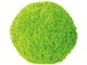 MOCORO CZ-560-GN [O[]