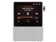 Astell&Kern AK100-32GB-SLV [32GB Vo[]