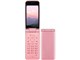 COLOR LIFE4 WATERPROOF SoftBank 301P [CgsN]