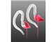 FOCUS100 FOR WOMEN [�s���N/�z���C�g]