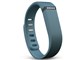Fitbit Flex FB401SL-JPN [�X���[�g]