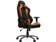 Nitro Gaming Chair AKR-NITRO-ORANGE [�I�����W]