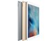 iPad Pro Wi-Fi+Cellular 128GB docomo [�V���o�[]