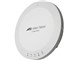 AT-MWS1750AP (RoHS)