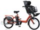 �A���W�F���[�m�v�e�B�b�g e C300 A20L36 [F.�\���b�h�I�����W] + ��p�[�d��