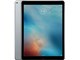 iPad Pro Wi-Fi+Cellular 256GB au [�X�y�[�X�O���C]