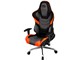 V RS-800RR-OR [�I�����W&�u���b�N]