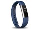 Fitbit Alta S�T�C�Y FB406BUS-JPN [�u���[]