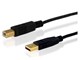 USB2-AMBM-1MB [1m ��]