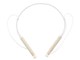 LEPLUS Austin LP-SMPBTEPGD [�S�[���h]