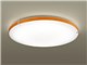 LINK STYLE LED LGBX1479 [Cv]