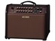 Acoustic Singer Pro ACS-PRO