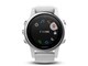 fenix 5S White 168536 [���{��]