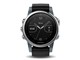 fenix 5S Gray 168535 [���{��]