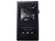 A&ultima SP1000 AK-SP1000-SS [256GB Stainless Steel]