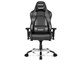 Premium Gaming Chair AKR-PREMIUM-CARBON_BLACK [�J�[�{���u���b�N]