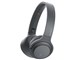 h.ear on 2 Mini Wireless WH-H800 (B) [グレイッシュブラック]