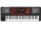 Pa700 Professional Arranger